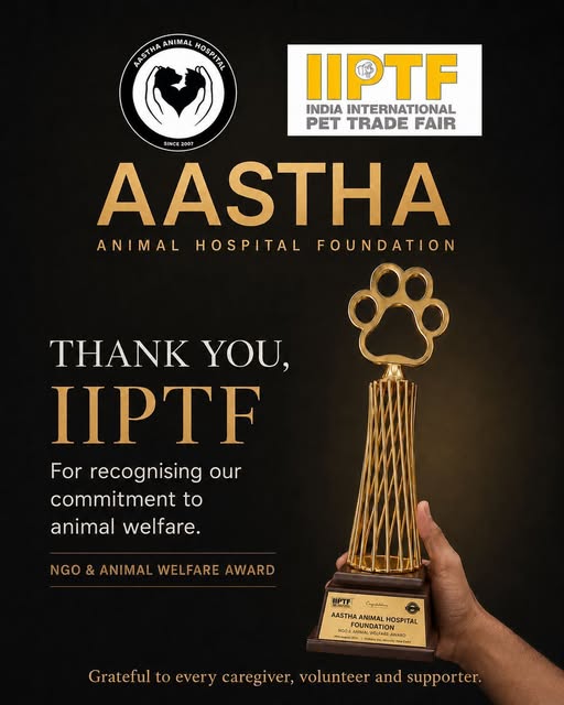 PFA Faridabad